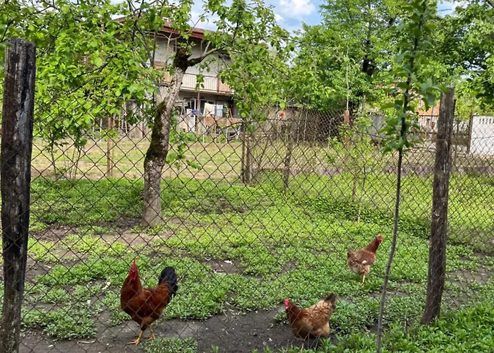 Guest House Sveta