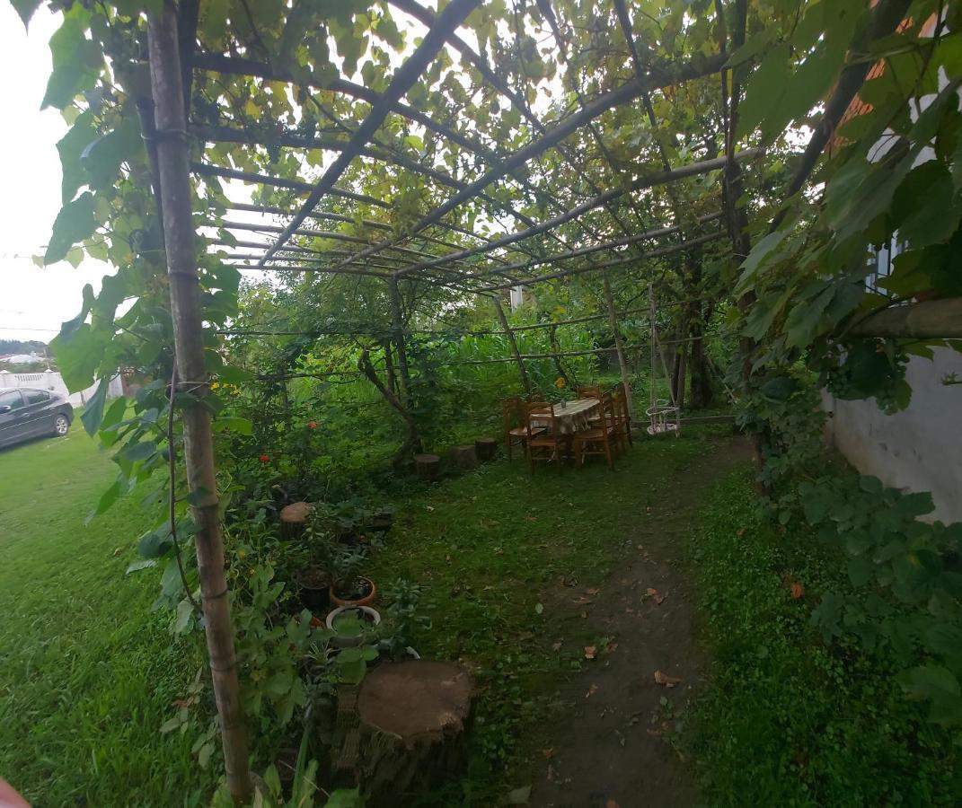 Homestay Sveta Martvili